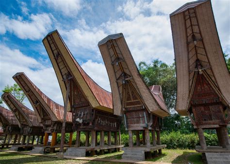 Museum Ne Gandeng Toraja: Pesona Budaya Toraja yang Tergusur Waktu