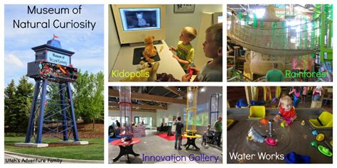 Museum Of Natural Curiosity