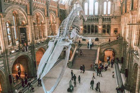 Museum Visit Times