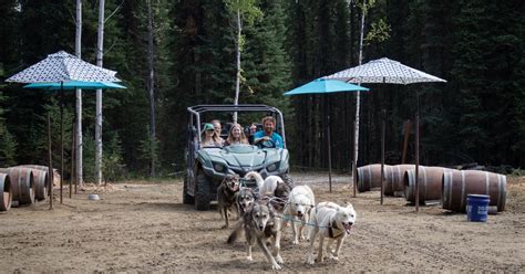 Mushing Cart Ride