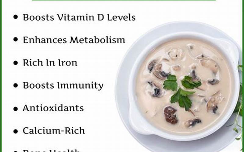 Mushroom Soup Health Benefits