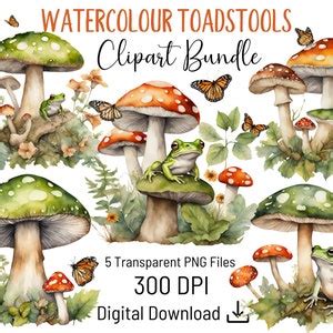 Download Mushroom Bundle, Toadstool Commercial Use