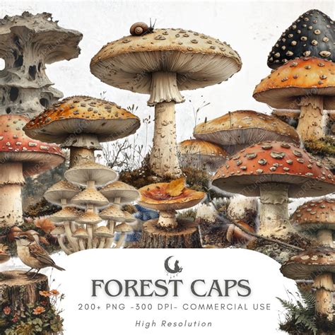 Download Mushroom Bundle, Toadstool Commercial Use For Crafts