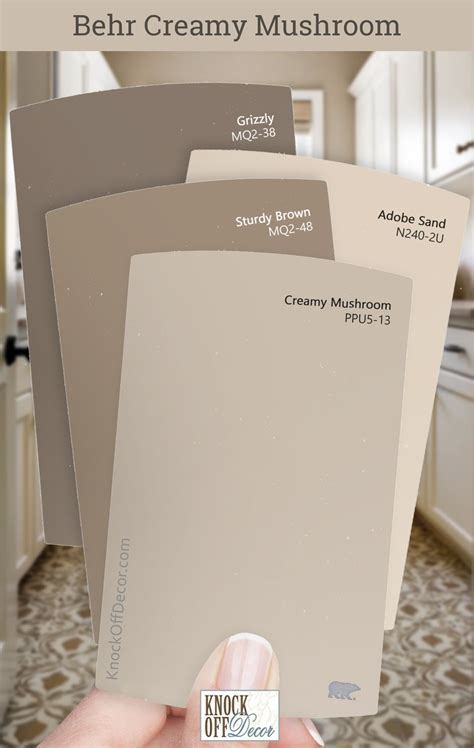 Mushroom Cabinet Paint Color