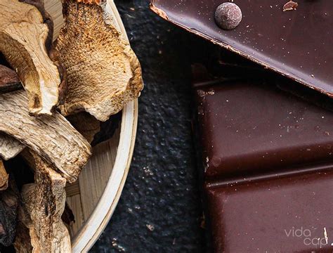 Mushroom Chocolate Recipe