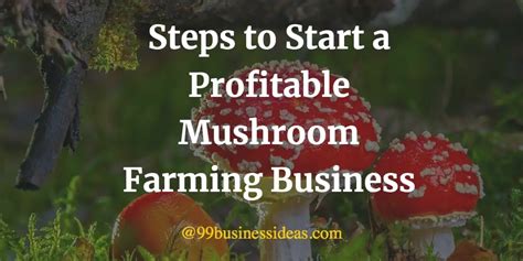 Mushroom Farm Business Plan