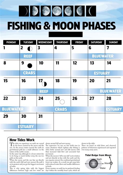 Musky Moon Phase Calendar
