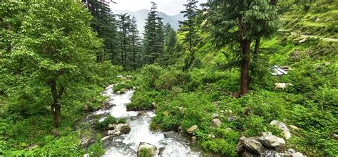 Mussoorie Trekking Path