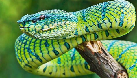 Must-Avoid Colors and Patterns