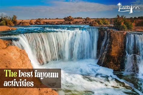 Must-Do Activities in Fayoum