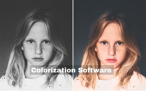 Must-Have Features in Good Colouring Software