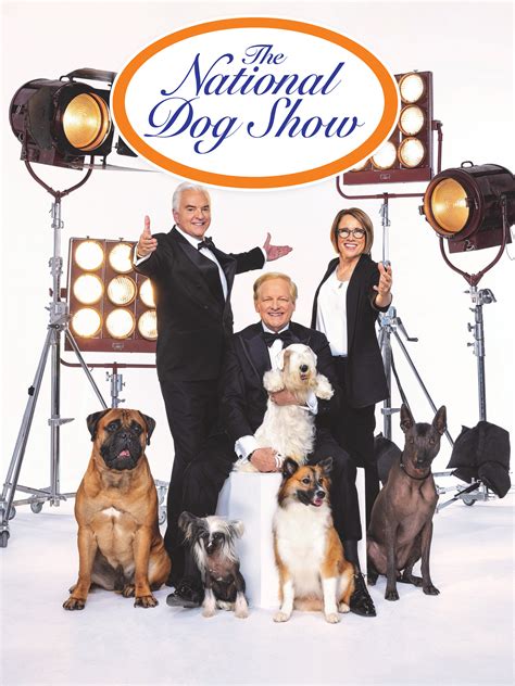 Must-Know Dog Show Channels