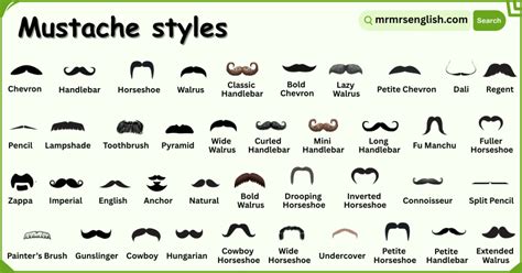 Mustache Styles Names