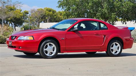 Mustang For 2000 Dollars