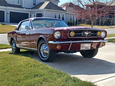 Mustang For Sale By Owner