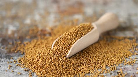 Mustard Seed Image