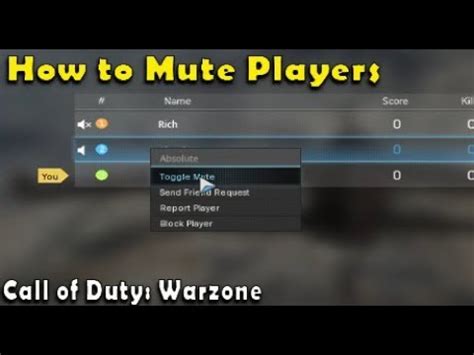 Mute Sound On Warzone