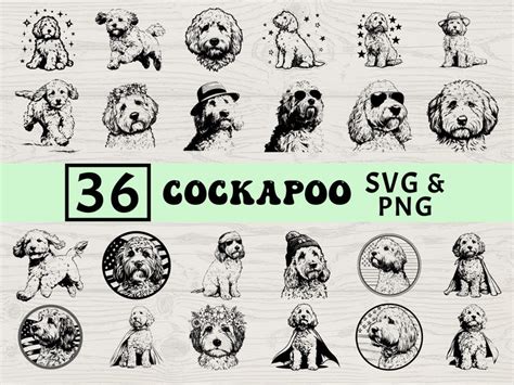 My Best Friend Is A Cockapoo SVG, Cockapoo Svg, Dog Svg, Cockapoo Png,
