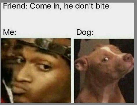 My Dog Doesnt Bite Meme