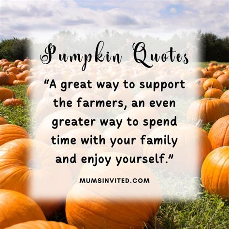 My Pumpkin Quotes