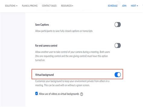 My Zoom Does Not Have Virtual Background Option