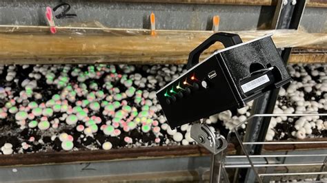 MycoSense & RunSight: AI Indonesia untuk Masa Depan