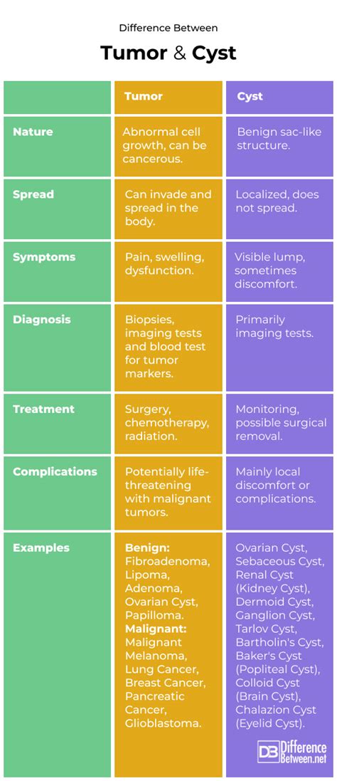Myoma vs. Cysts: Know the Key Differences