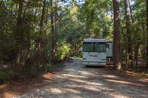 Experience Coastal Charm at Myrtle Beach State Park Camping