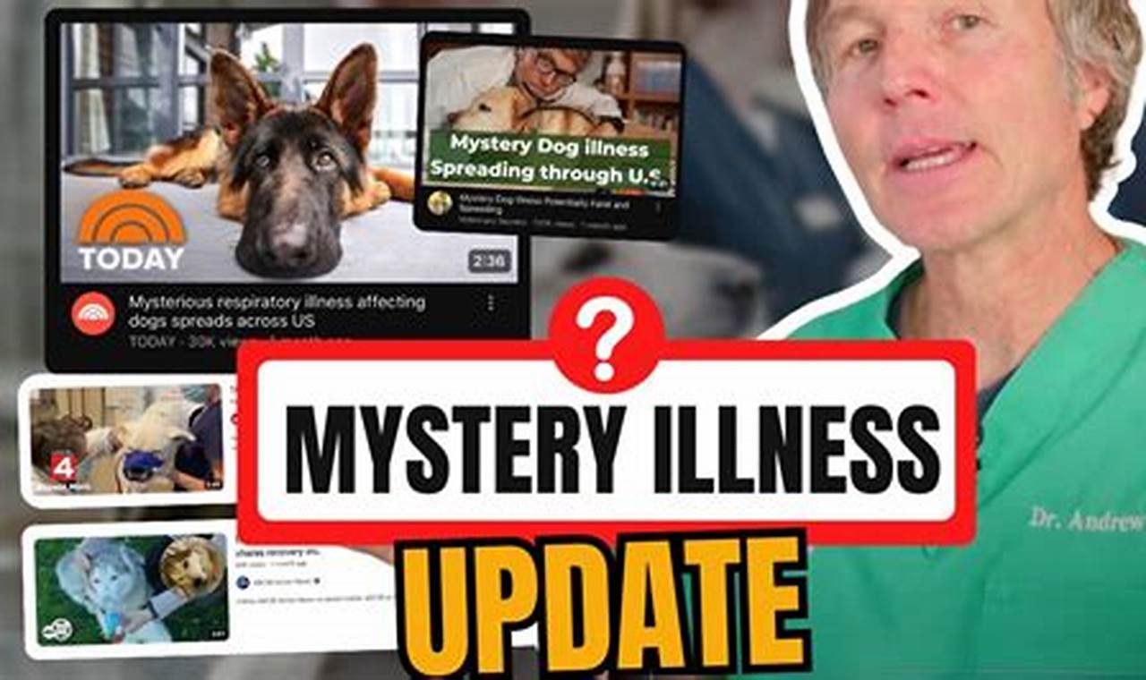Mystery Dog Illness November 2024