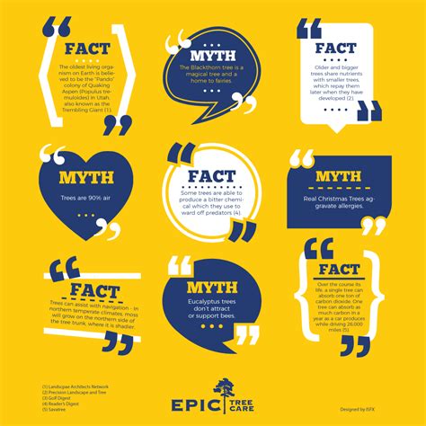 Myths and Facts: Dispelling Common Misconceptions