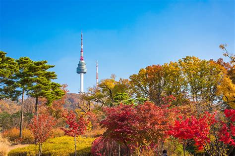 N Seoul Tower views
