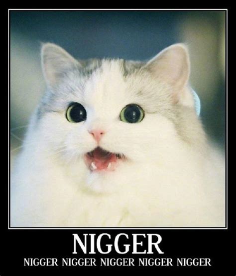 N Word Cat Meme