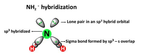NH2 Hybridization