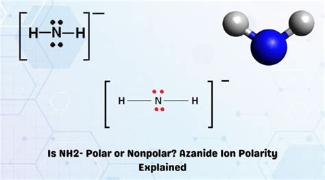 NH2 Polarity