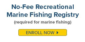 NY Free Marine Registry