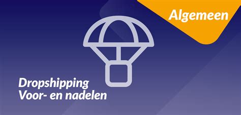 Nadelen dropshipping