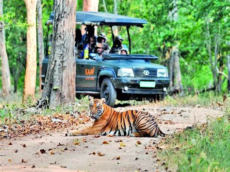 Nagarhole Safari Tips