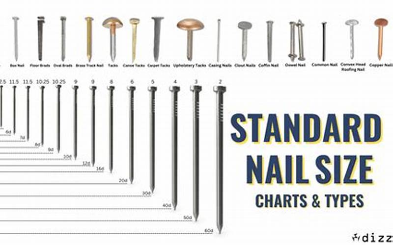 Nail Size And Quantity