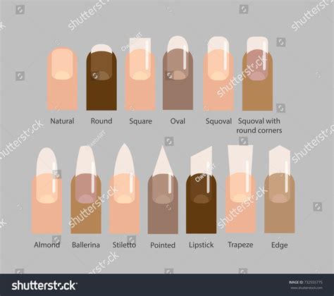 Nail Forms Female Manicure Set