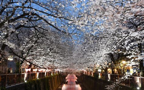 Nakameguro Tokyo