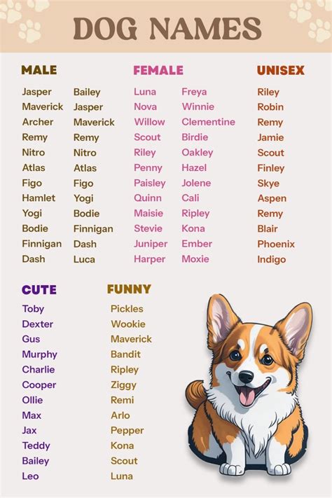 Name My Dog