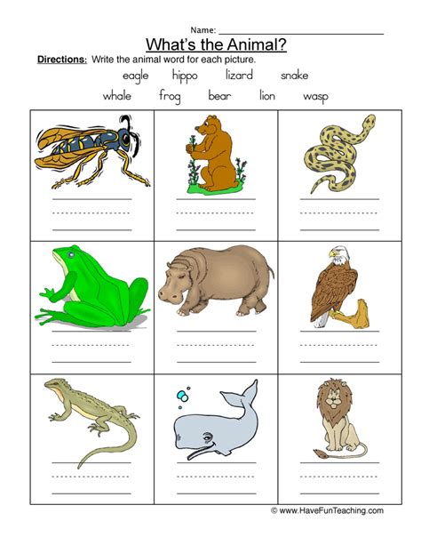 Names Of Animals Worksheet