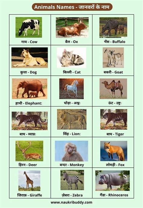Names Of Endangered Animals In Hindi