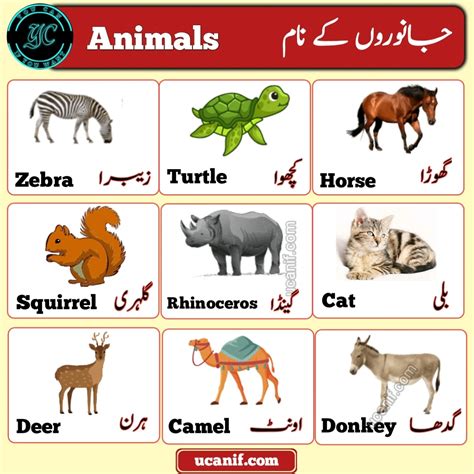 Names Of Endangered Animals In Urdu