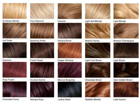 Names Of Hair Colors Chart