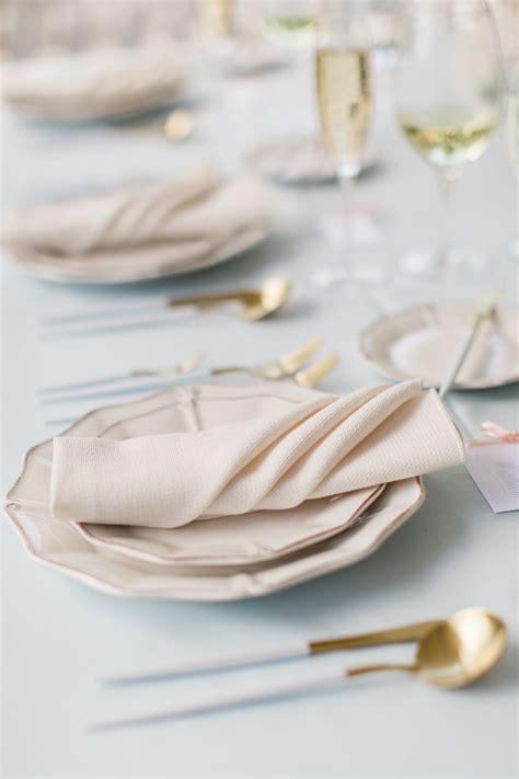 Napkin Options