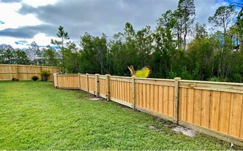 Naples Fl Privacy Fence: The Ultimate Guide