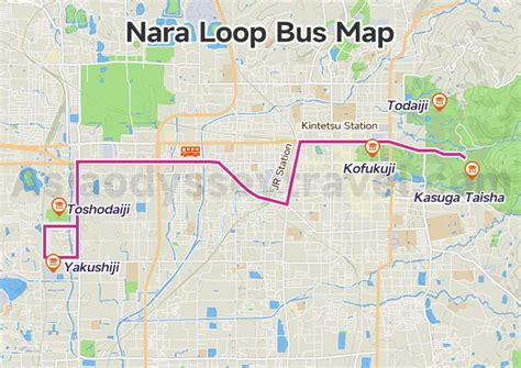 Nara Park Bus Tour Tips