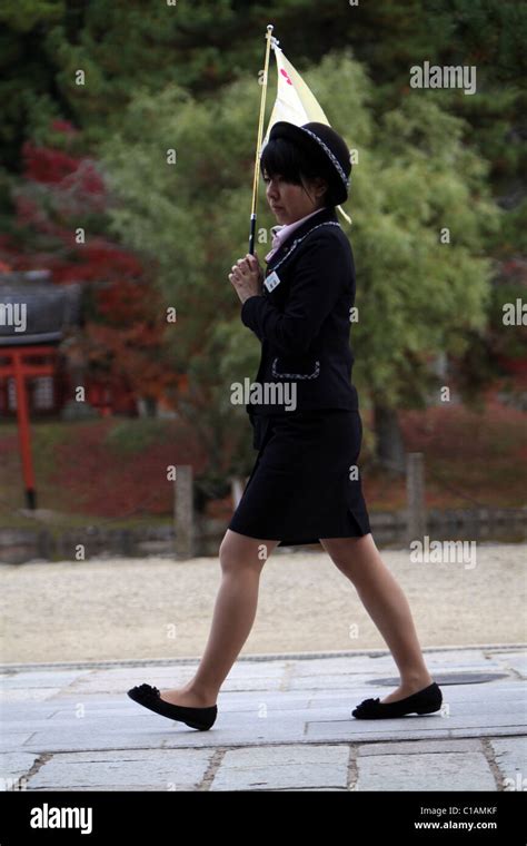 Nara Park Tour Guide