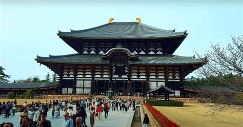 Nara Tour Experience